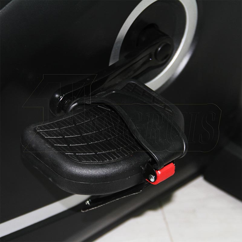 Commercial Recumbent Exercise Bike