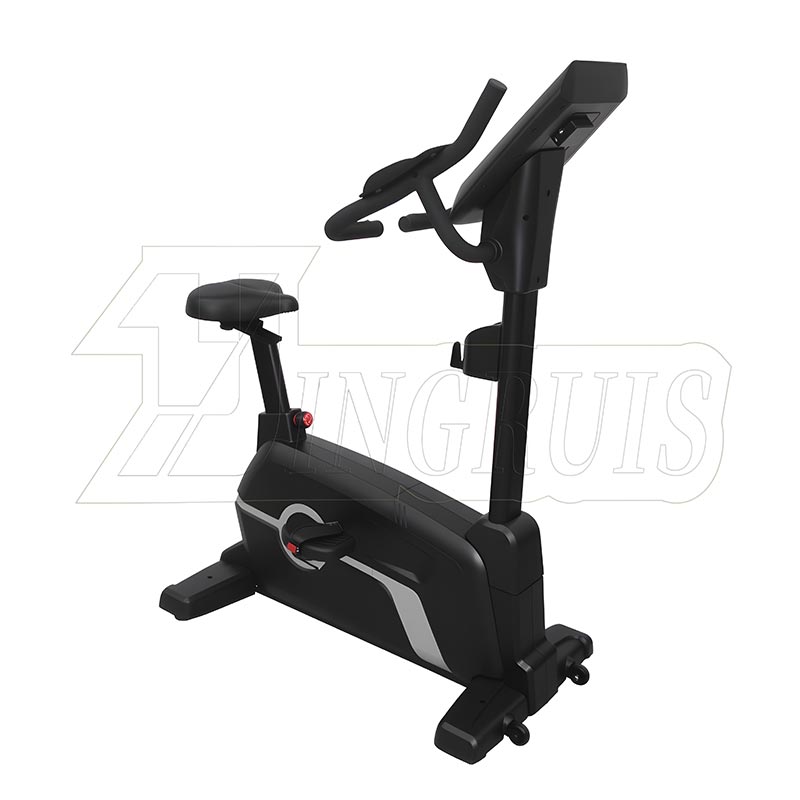 Commercial Upright Exercise Bike